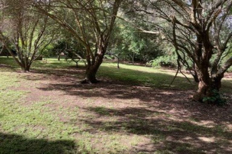 Photo of property in 11 Ron Wyatt Lane, Waiuku, 2123