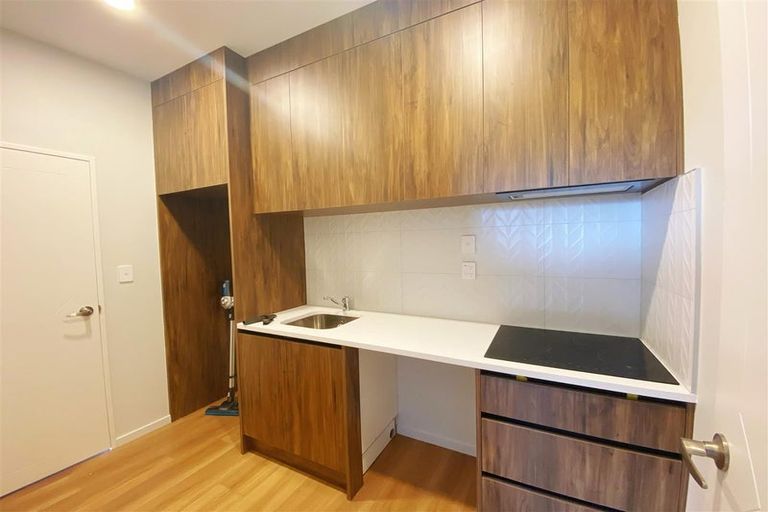 Photo of property in 1 Bendridge Street, Flat Bush, Auckland, 2019