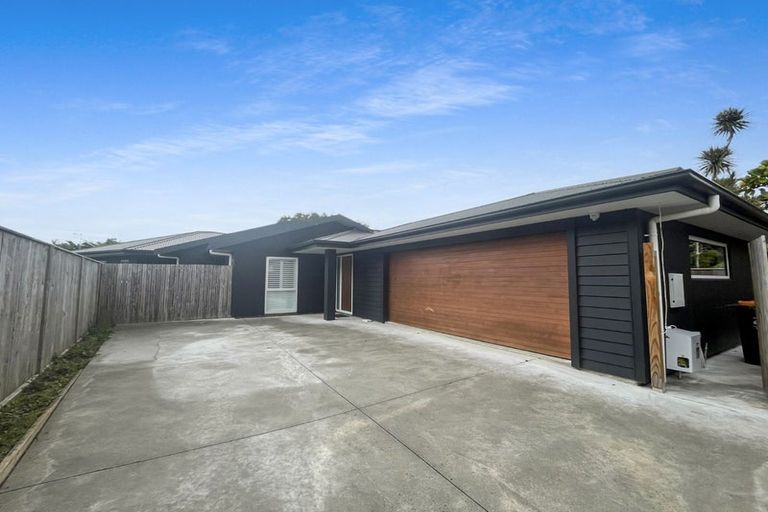 Photo of property in 68b Manson Street, Terrace End, Palmerston North, 4410