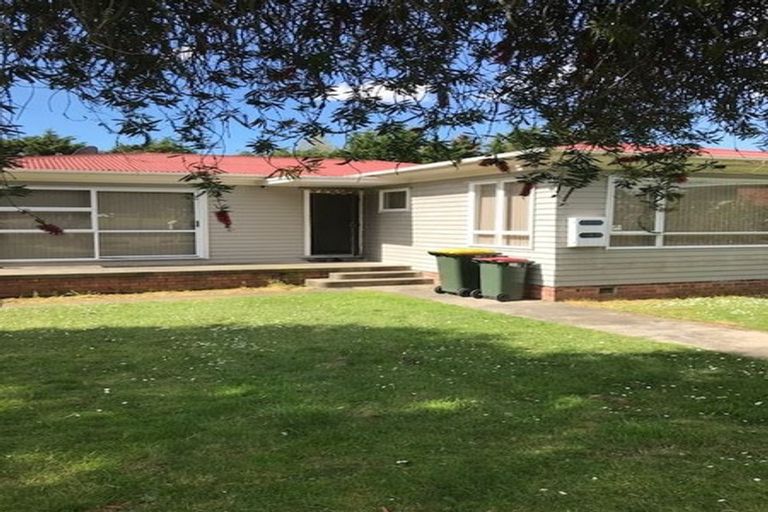 Photo of property in 48 Ashlynne Avenue, Papatoetoe, Auckland, 2025