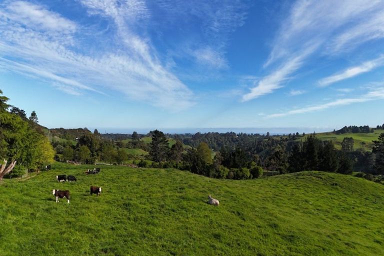 Photo of property in 685 Mataro Road, Onaero, Urenui, 4375