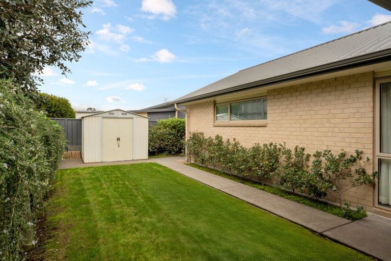 Photo of property in 252 Hamurana Road, Omokoroa, 3114