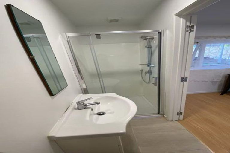 Photo of property in 29 Ayton Drive, Totara Vale, Auckland, 0629