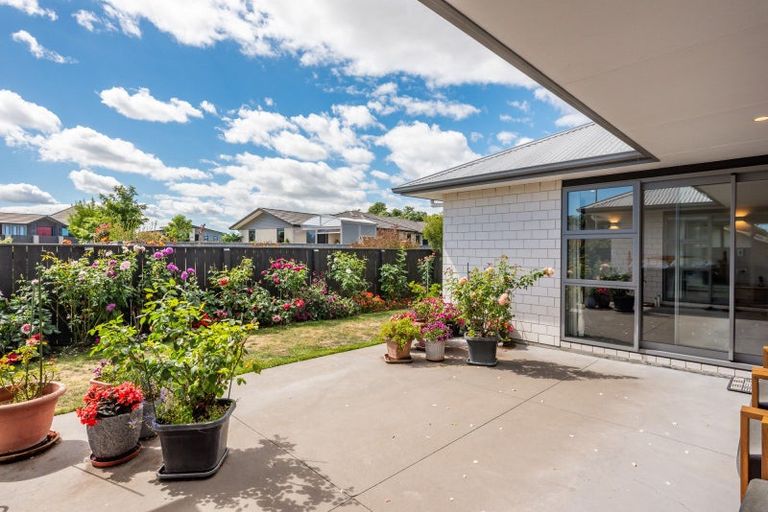 Photo of property in 24 Barry Curtis Place, Levin, 5510
