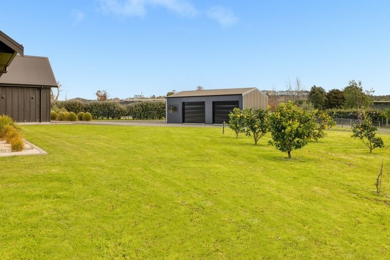 Photo of property in 423b Youngson Road, Whakamarama, Tauranga, 3179