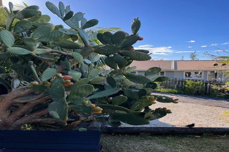 Photo of property in 15 Hague Place, Birkenhead, Auckland, 0626