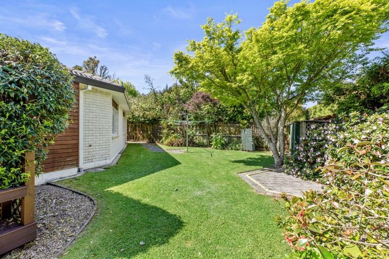 Photo of property in 9r Cherry Way, Bethlehem, Tauranga, 3110