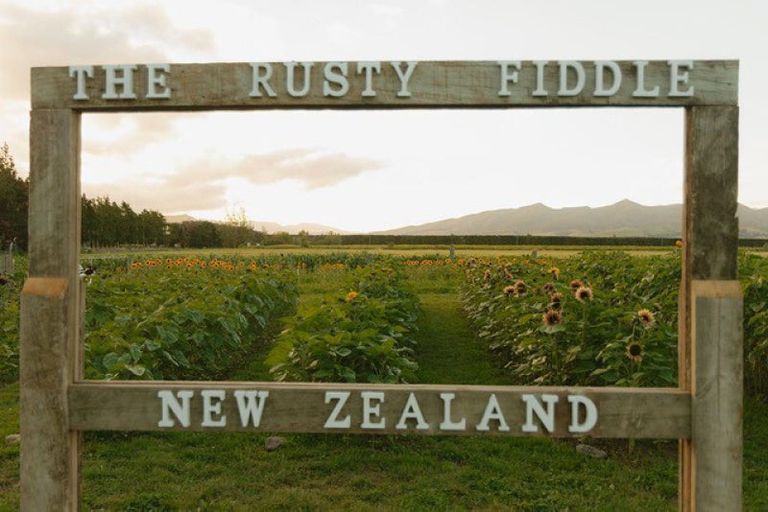 Photo of property in 246 Georges Road, Glasnevin, Amberley, 7482