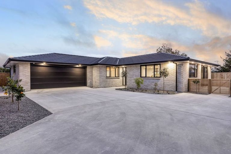 Photo of property in 6a Saint Annes Street, Levin, 5510