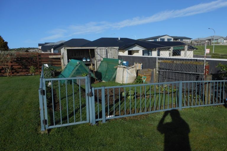 Photo of property in 24 Hillcrest Street, Tirau, 3410