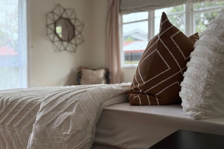 Photo of property in 45 Alfred Street, Roslyn, Palmerston North, 4414