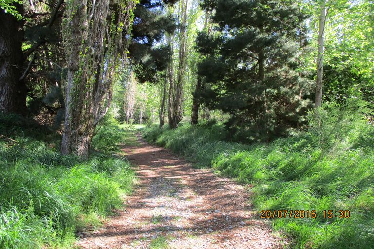 Photo of property in 309 Flatman Road, Orari Bridge, Geraldine, 7991
