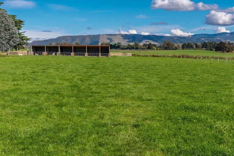 Photo of property in 302 Timaru Road, Waimate, 7978
