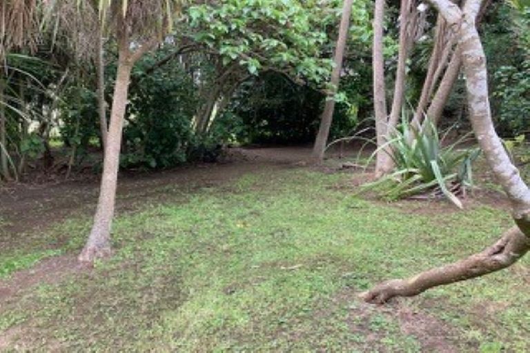 Photo of property in 11 Ron Wyatt Lane, Waiuku, 2123