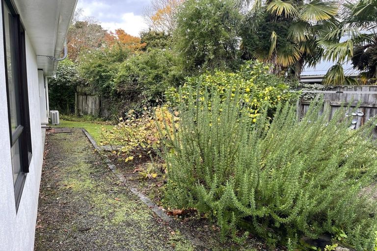 Photo of property in 38 Kuratawhiti Street, Greytown, 5712