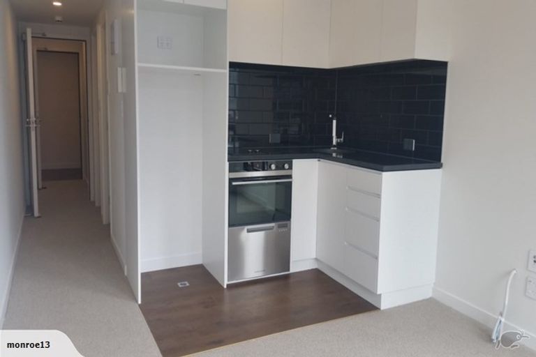Photo of property in Alpha Apartments, 504/4u Elizabeth Street, Mount Victoria, Wellington, 6011