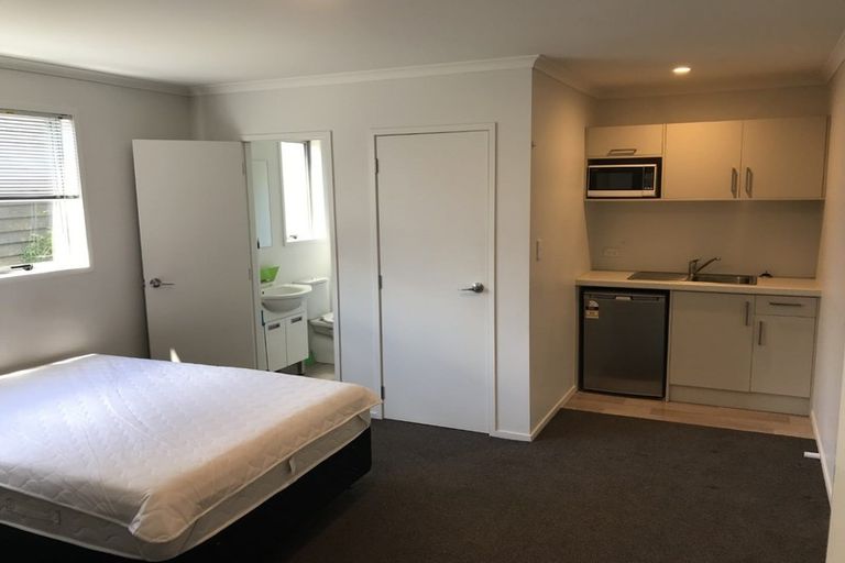 Photo of property in 2u4 Palmerston Street, Hamilton Central, Hamilton, 3204