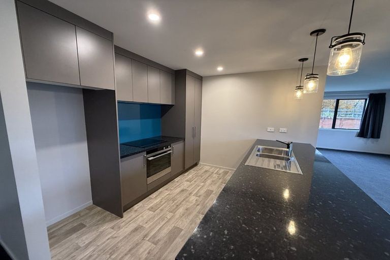 Photo of property in 57a Missy Crescent, Mount Pisa, Cromwell, 9383