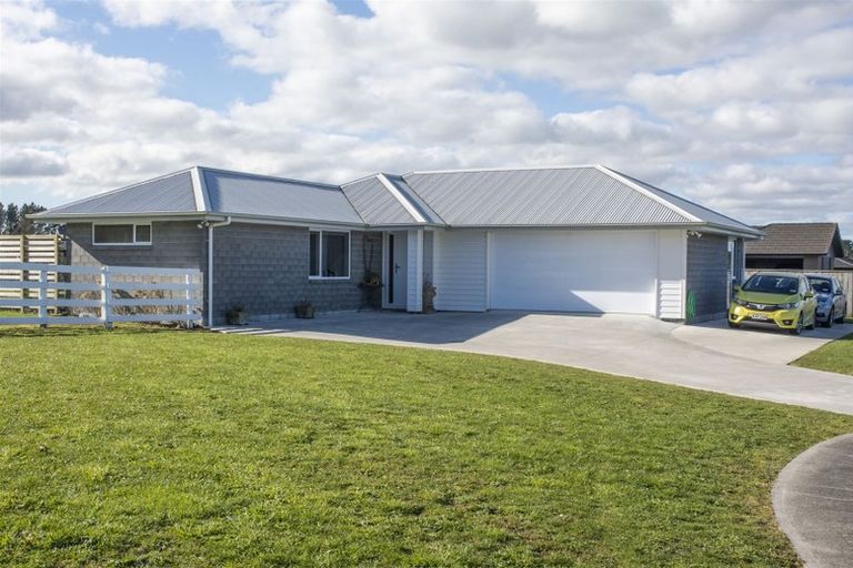 Photo of property in 2 Mercade Close, Stratford, 4332