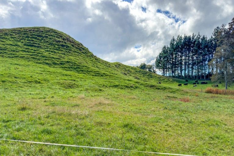 Photo of property in 17 Franklin Road, Waihi, 3682