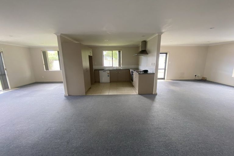 Photo of property in 17 Finchley Place, Hamilton East, Hamilton, 3216