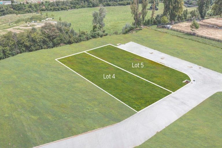 Photo of property in 7 Te Ia Terrace, Cambridge, 3434