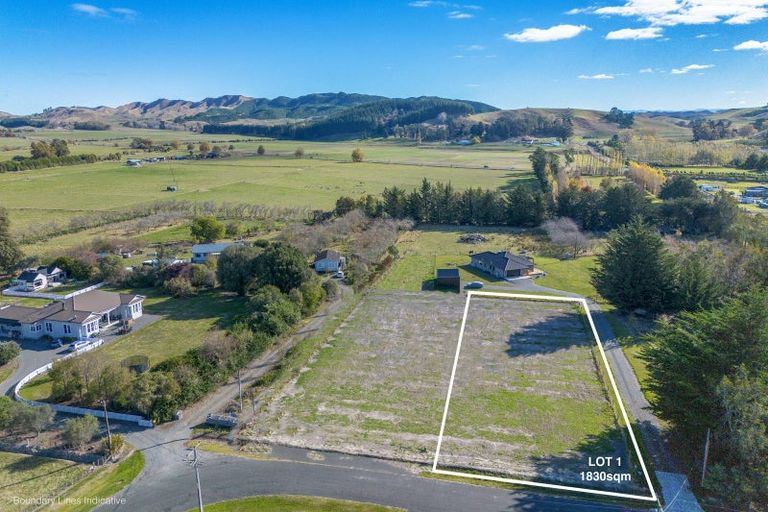 Photo of property in 38a Rochfort Street, Otane, 4202