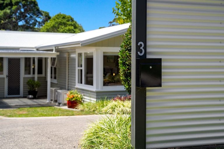 Photo of property in 3 Orion Place, Hillcrest, Auckland, 0627