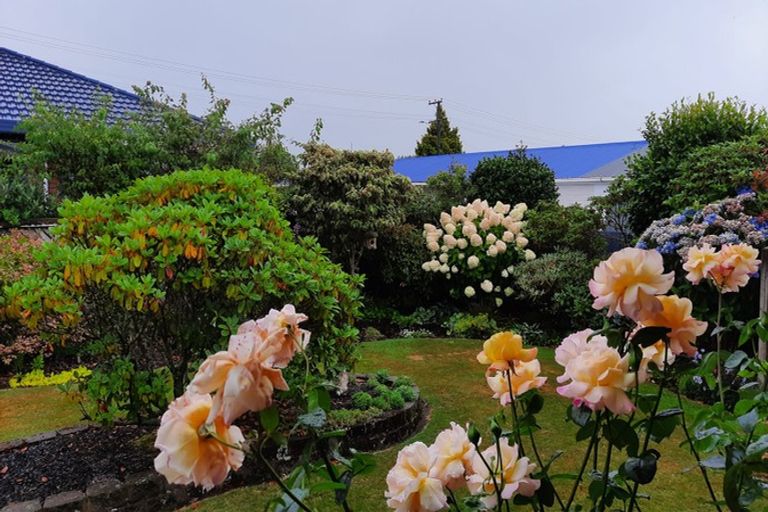 Photo of property in 40 Juliet Street, Stratford, 4332