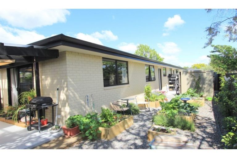 Photo of property in 15c Howick Road, Blenheim, 7201