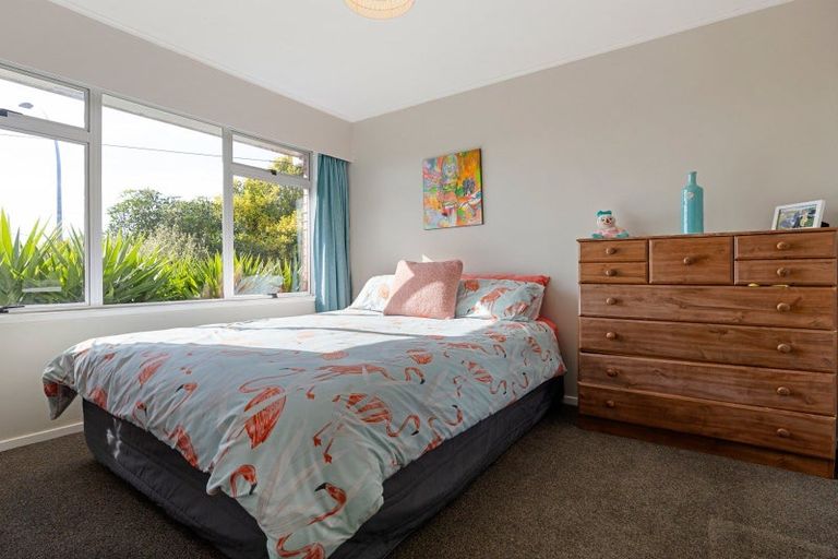 Photo of property in 107 Newcastle Road, Dinsdale, Hamilton, 3204