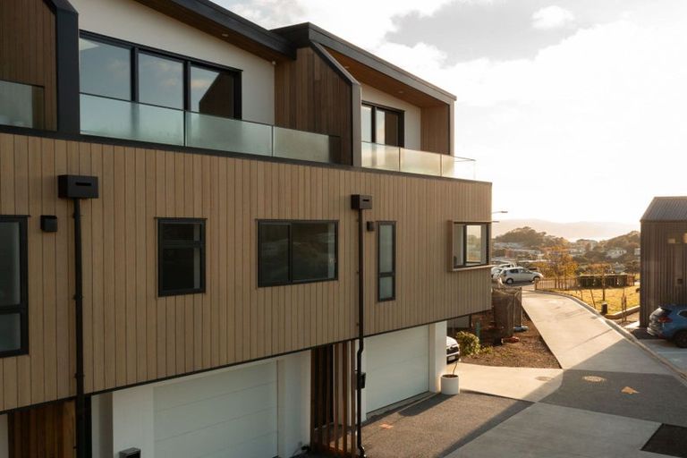 Photo of property in 119 Tiketike Way, Brooklyn, Wellington, 6021