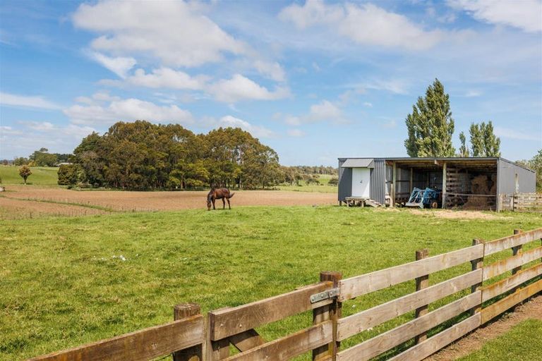 Photo of property in 366 Tutaenui Road, Marton, 4788
