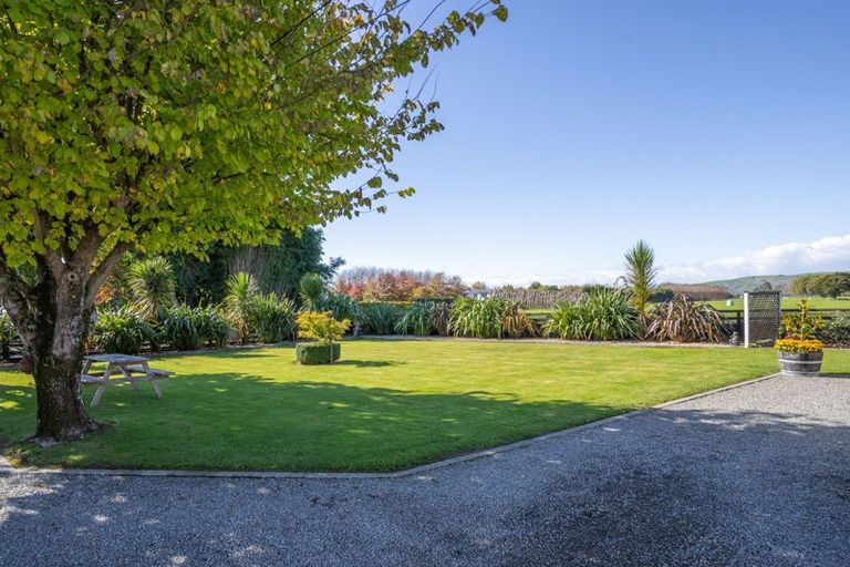 Photo of property in 62 Mcmaster Street, Greytown, 5712