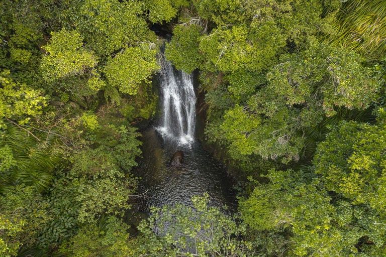 Photo of property in 614 Kaitemako Road, Welcome Bay, Tauranga, 3175