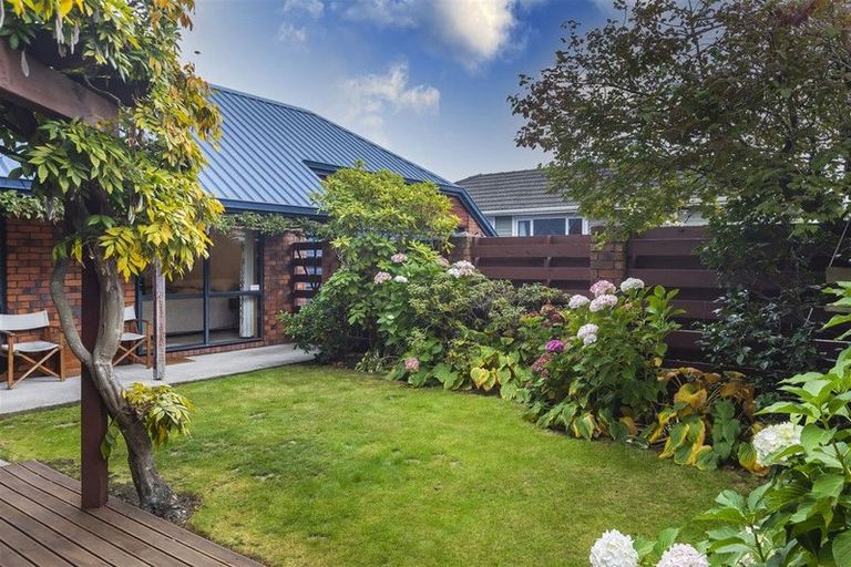 Photo of property in 204 Greers Road, Bryndwr, Christchurch, 8053