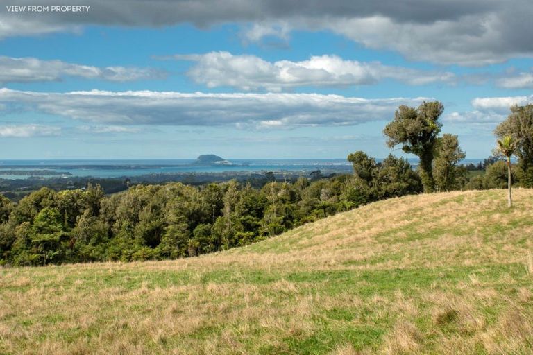 Photo of property in 1039d Work Road, Whakamarama, 3181