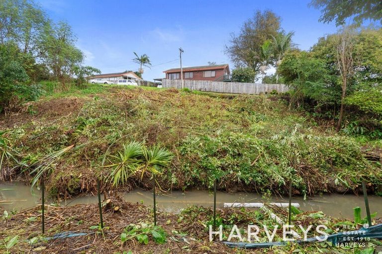 Photo of property in 71a Fruitvale Road, New Lynn, Auckland, 0600