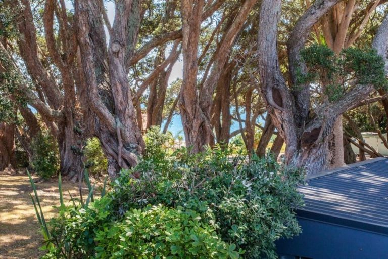 Photo of property in 12a Fishermans Bend, Whiritoa, Whangamata, 3691