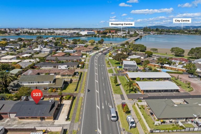 Photo of property in 103 Chapel Street, Otumoetai, Tauranga, 3110