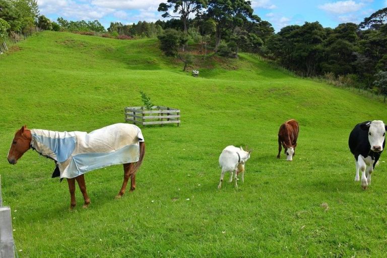 Photo of property in 65c Manuka Grove, Helensville, 0875