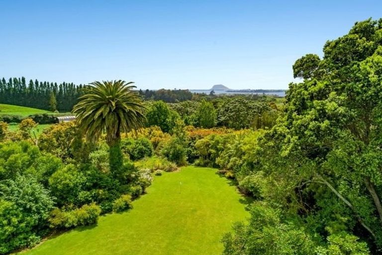 Photo of property in 86a Te Puna Road, Te Puna, Tauranga, 3174