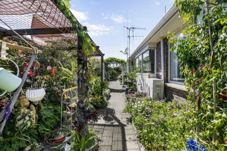 Photo of property in 13b Balmacewen Place, Mount Maunganui, 3116