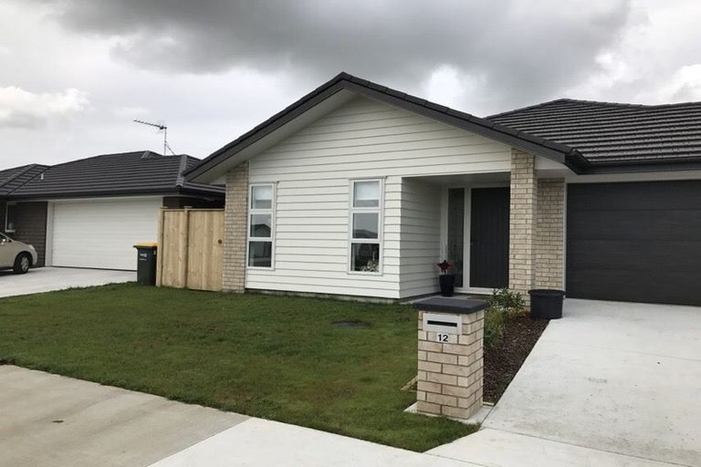 Photo of property in 12 Matawai Puna Drive, Pukekohe, 2120