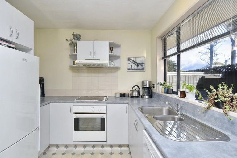 Photo of property in 69c Grafton Street, Waltham, Christchurch, 8011