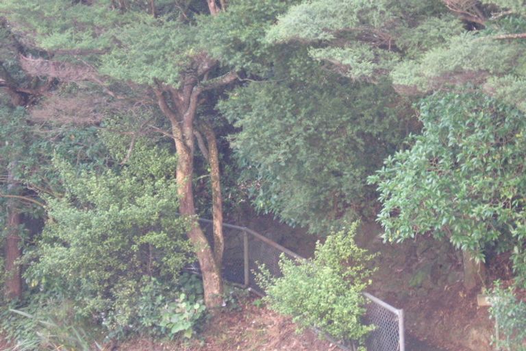 Photo of property in 447 Titirangi Road, Titirangi, Auckland, 0604