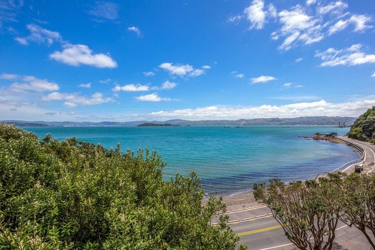 Photo of property in 316 Marine Dr York Bay, York Bay, Lower Hutt, 5013