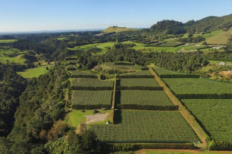 Photo of property in 1162a No 3 Road, Te Puke, 3183