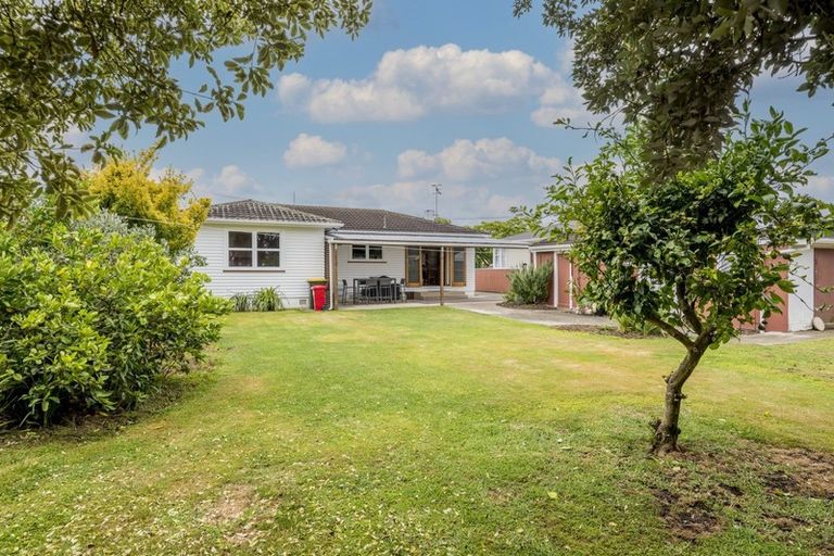 Photo of property in 53 Graham Street, Levin, 5510
