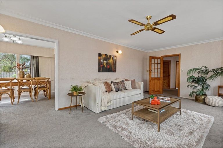 Photo of property in 237 Maungatapu Road, Maungatapu, Tauranga, 3112